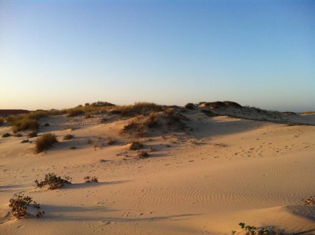 Maison Soleil - Résidence Dune Blanche Biscarrosse-Plage Extérieur photo