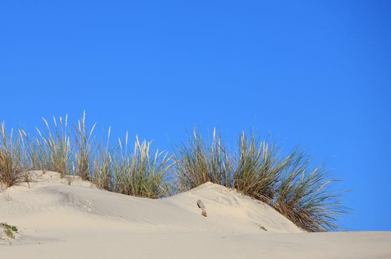 Maison Soleil - Résidence Dune Blanche Biscarrosse-Plage Extérieur photo